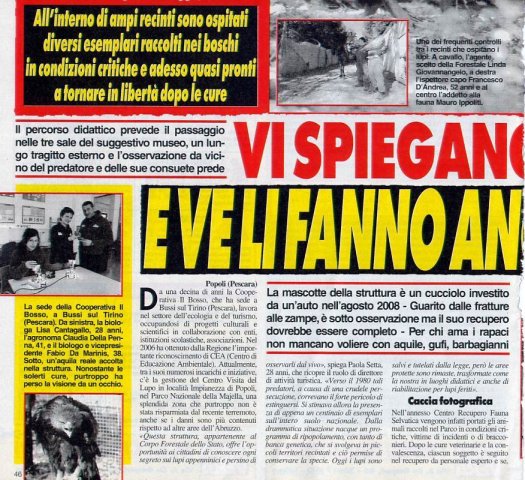 lupi 2